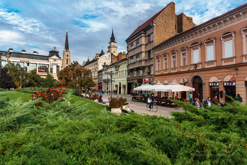 Нови сад сербия фото города