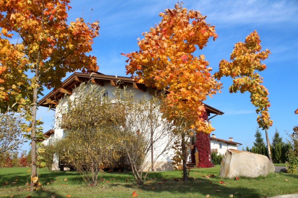 Спас каменка трейл фото